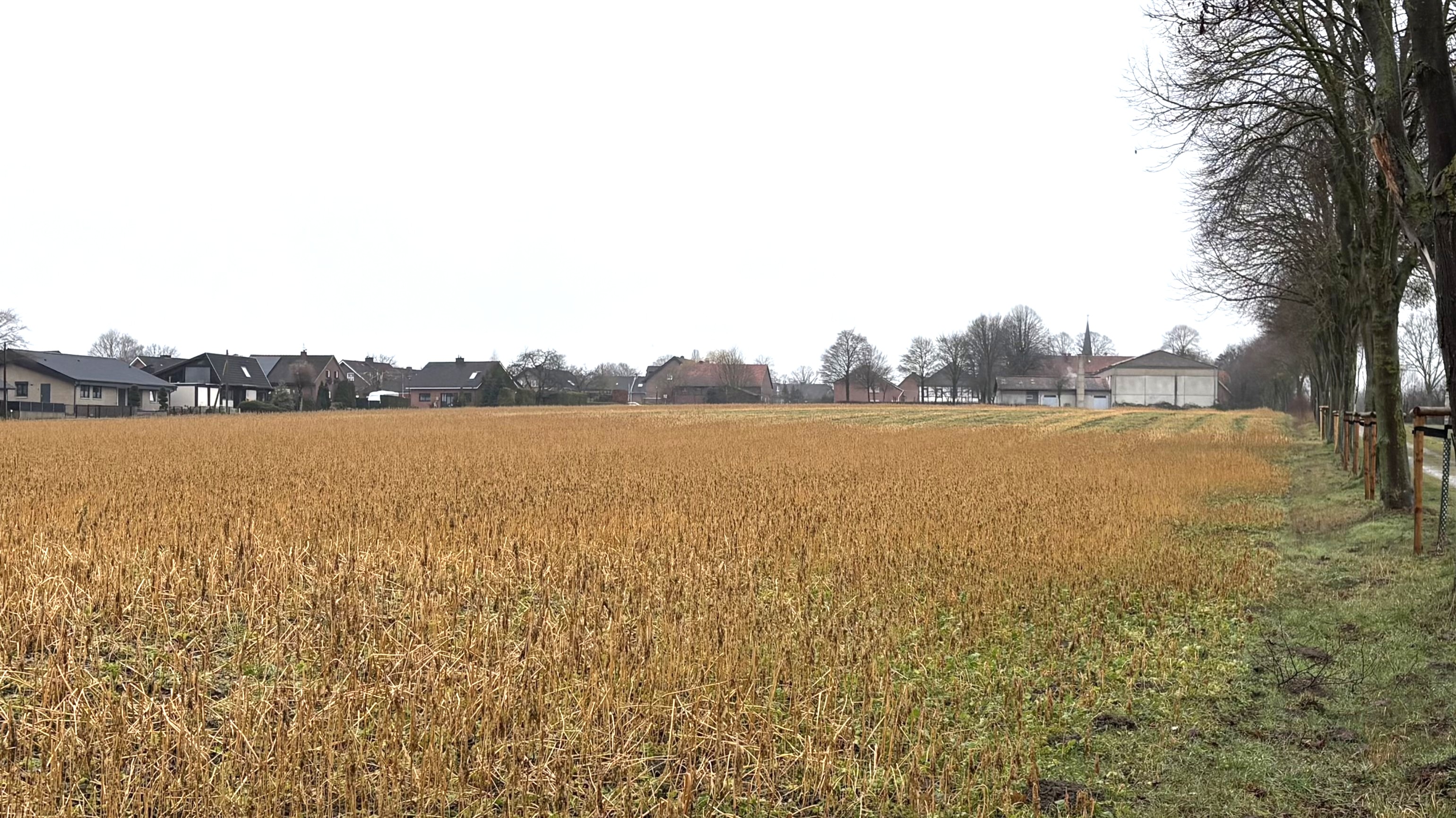 Hier entstehen die beiden ersten Bauabschnitte des neuen Diestedder Baugebietes Breed, �stlich der Turnhalle.